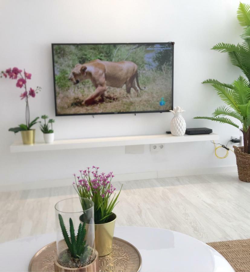 Stunning Spacious City Apartment With Free Parking マラガ エクステリア 写真